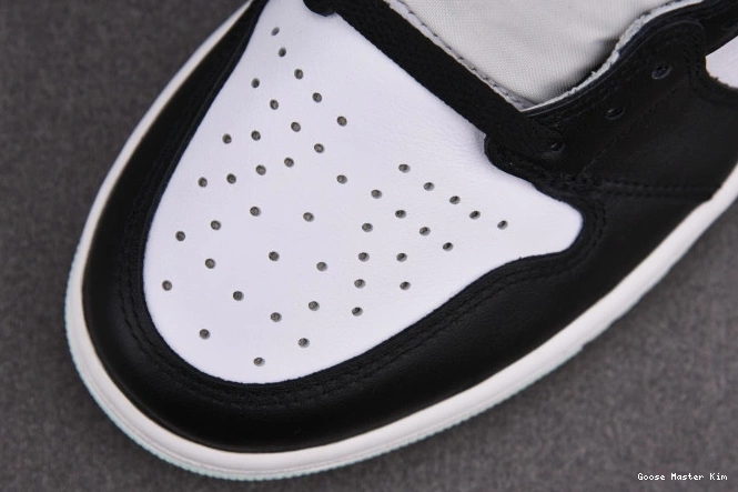 861428-100 Retro 1 Igloo Jordan High 0729